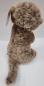 Preview: Erdmännchen Plüsch 25 cm