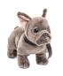 Preview: Französiche Bulldogge mit Halsband und Leine