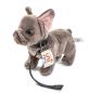 Preview: Französiche Bulldogge mit Halsband und Leine